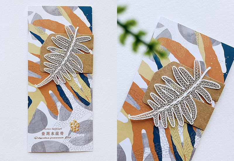 蕨類標本紙雕2.0 - 臺灣水龍骨 蕨類標本紙雕2.0 - 臺灣水龍骨